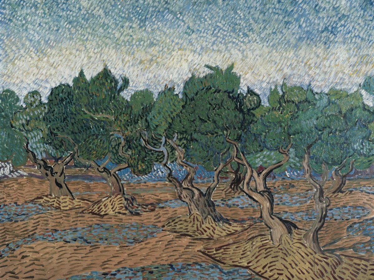 Olive Grove | Vincent van Gogh | Ave Legato Art Prints