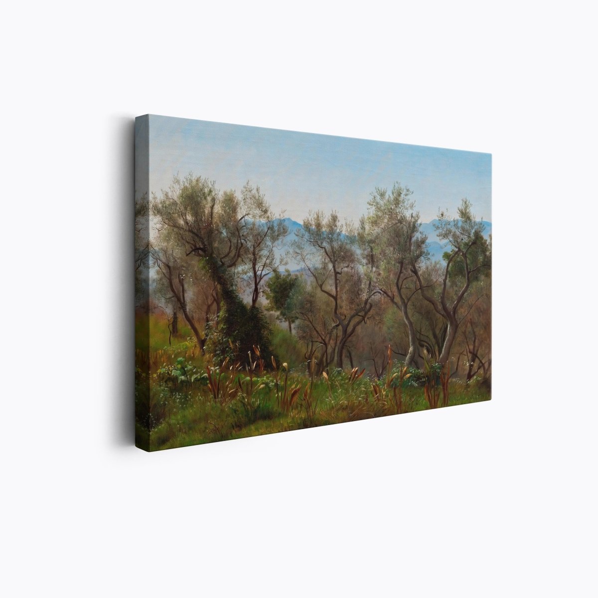 Olive Trees Near Olevano | P.C. Skovgaard | Ave Legato Art Prints