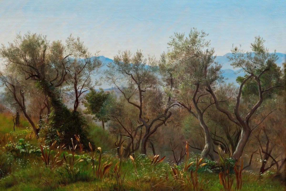 Olive Trees Near Olevano | P.C. Skovgaard | Ave Legato Art Prints