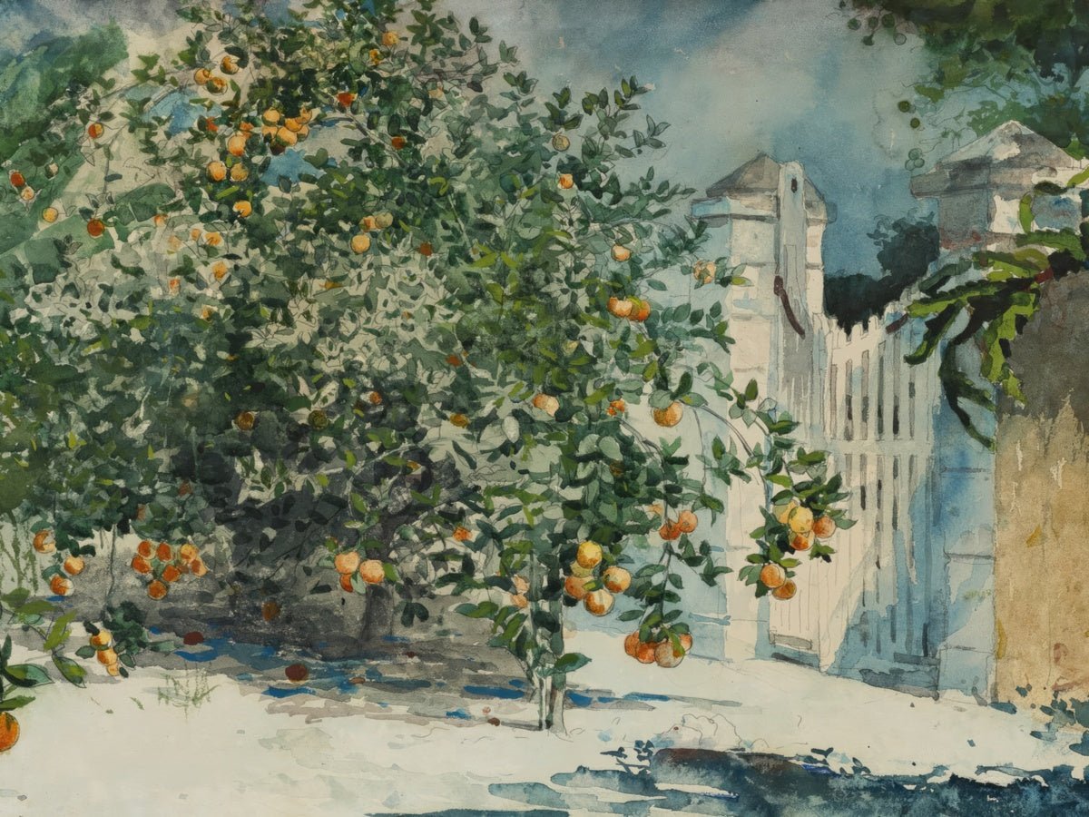 Orange Trees and Gate | Winslow Homer | Ave Legato Art Prints