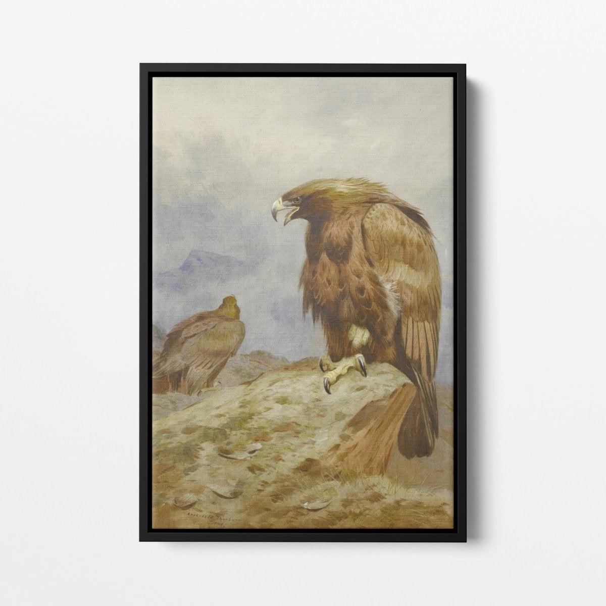 Pair of Golden Eagles | Archibald Thorburn | Ave Legato Art Prints