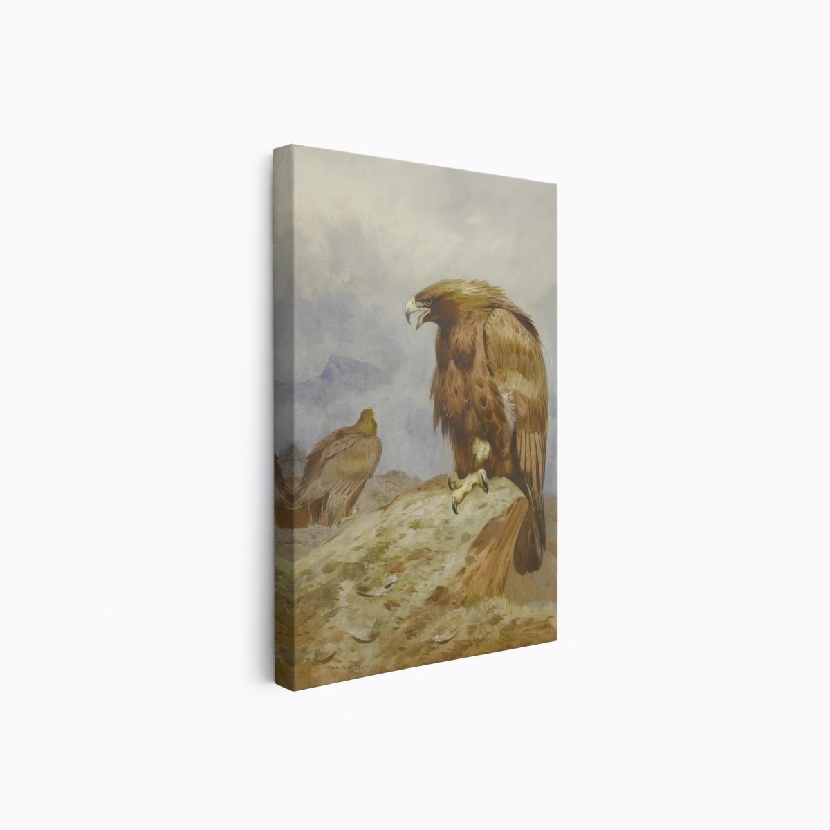 Pair of Golden Eagles | Archibald Thorburn | Ave Legato Art Prints