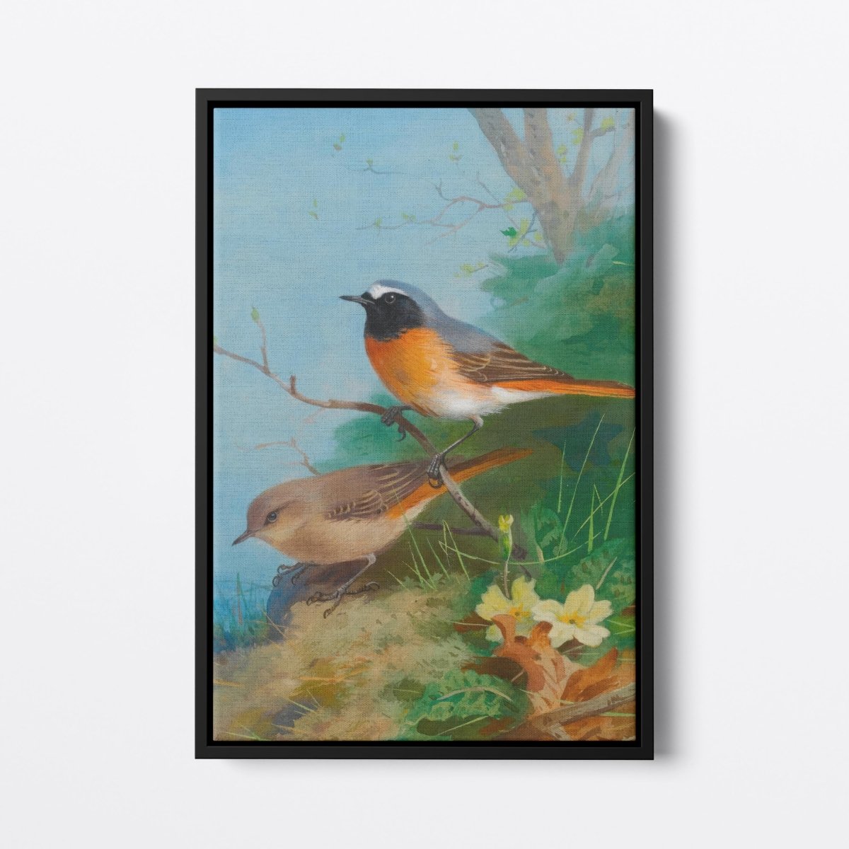 Pair of Redstarts | Archibald Thorburn | Ave Legato Art Prints