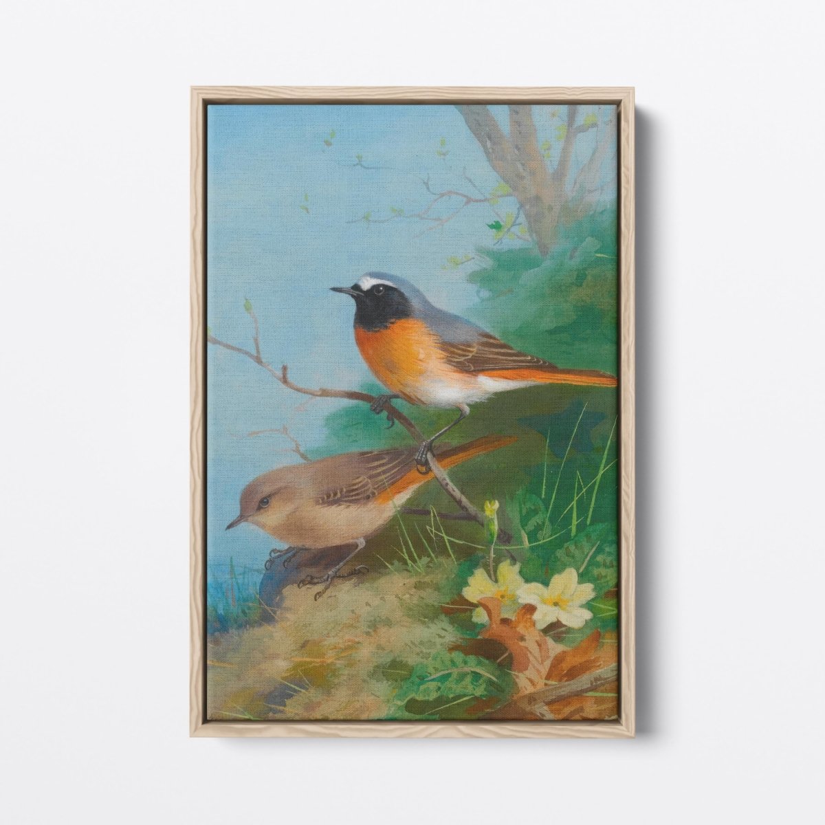 Pair of Redstarts | Archibald Thorburn | Ave Legato Art Prints