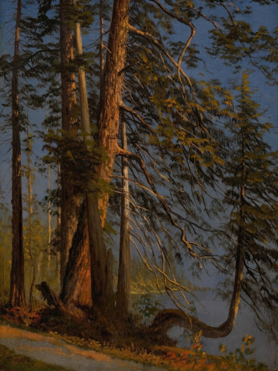 Park at Vancouver | Albert Bierstadt | Ave Legato Art Prints