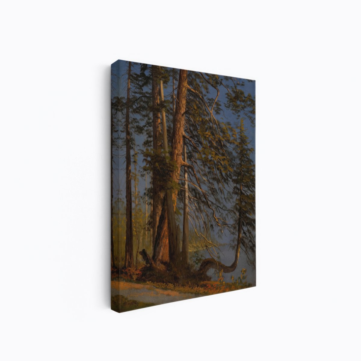 Park at Vancouver | Albert Bierstadt | Ave Legato Art Prints