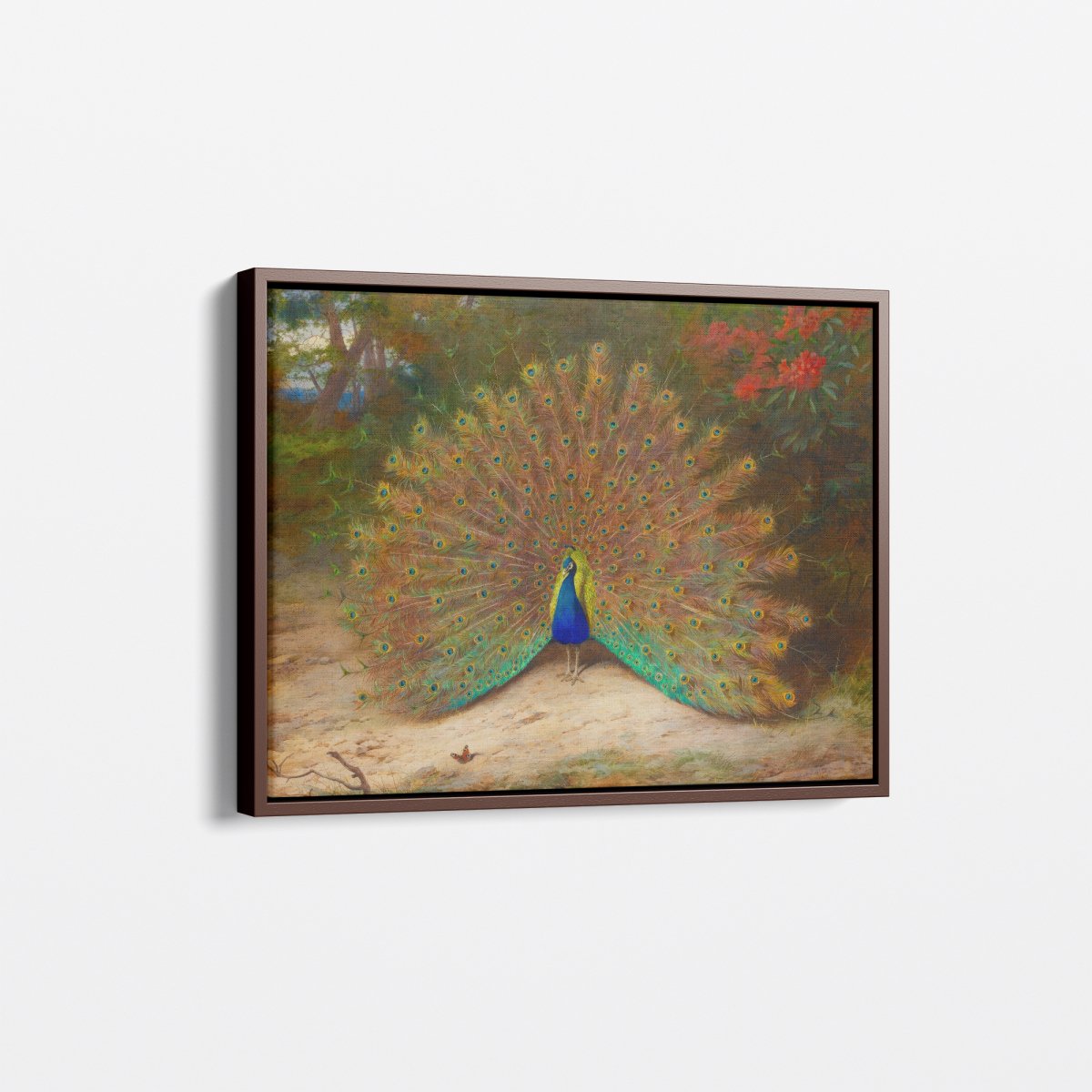 Peacock | Archibald Thorburn | Ave Legato Art Prints