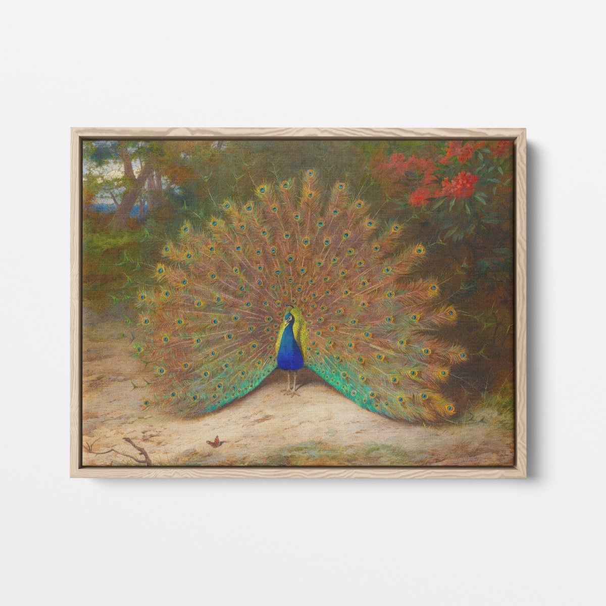 Peacock | Archibald Thorburn | Ave Legato Art Prints