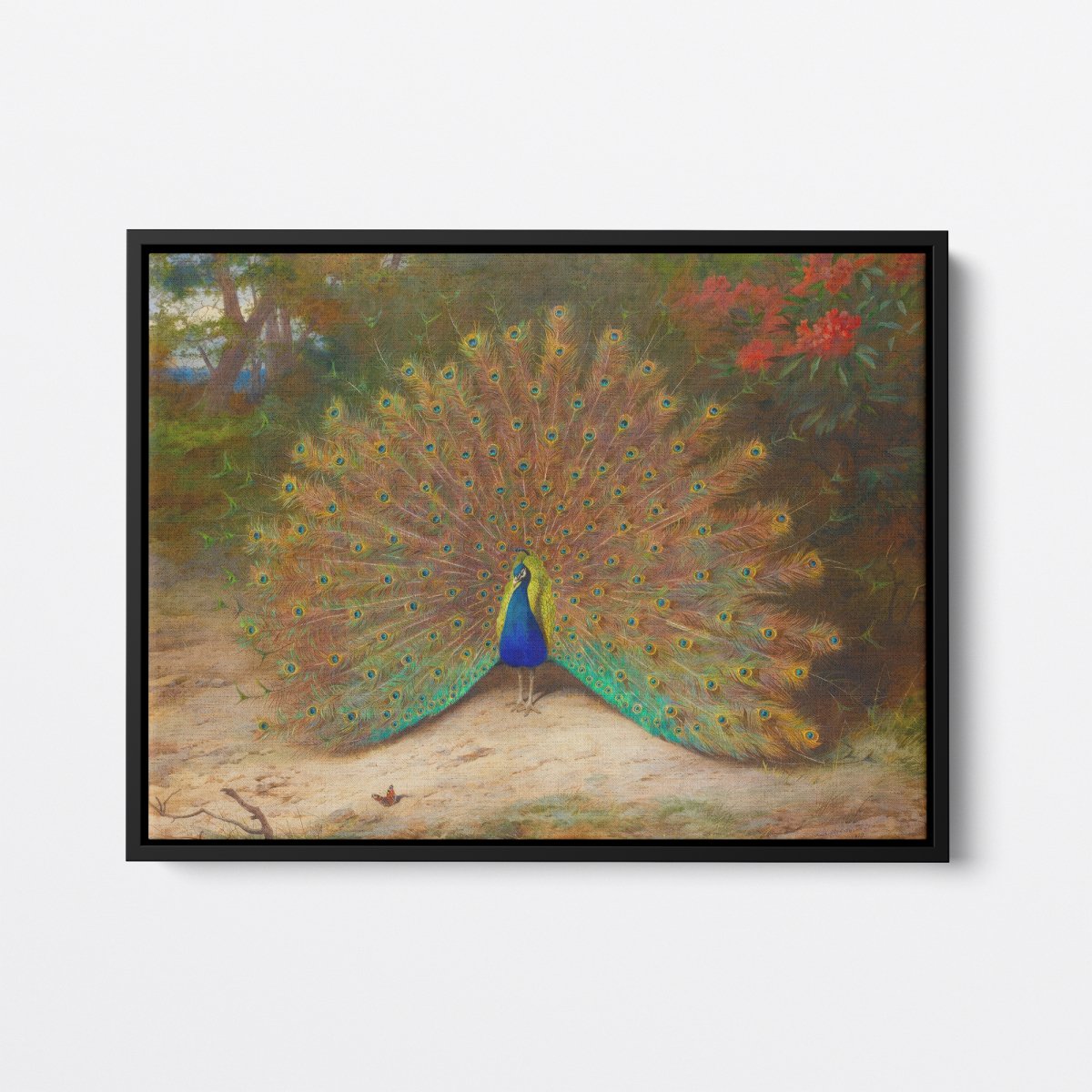 Peacock | Archibald Thorburn | Ave Legato Art Prints