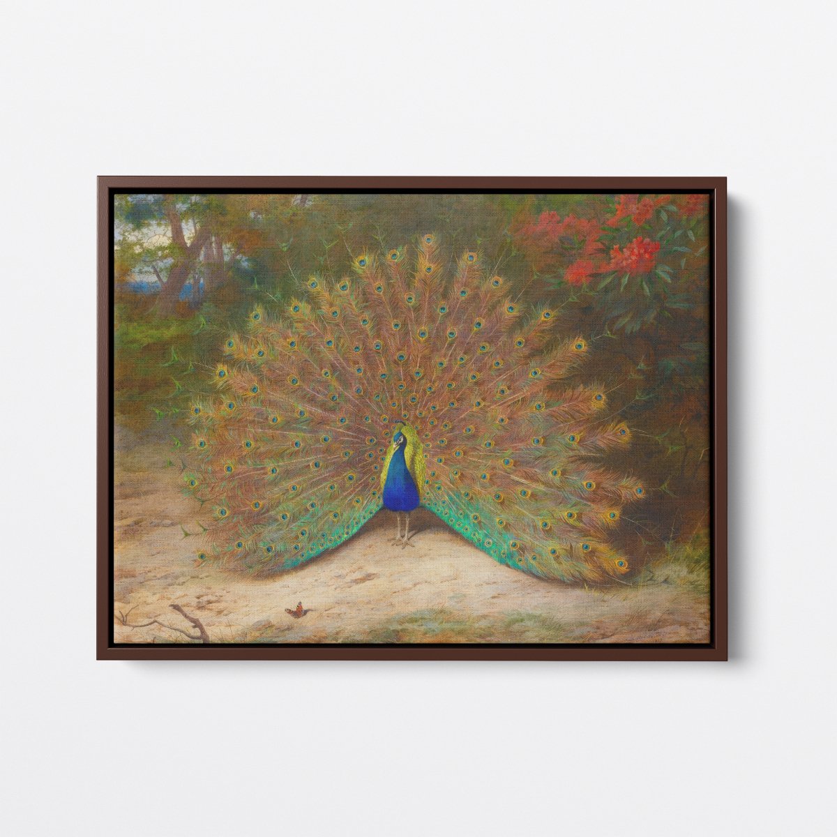 Peacock | Archibald Thorburn | Ave Legato Art Prints