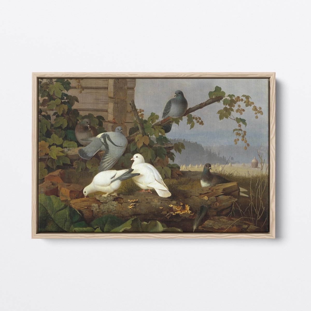 Pigeons | Ferdinand von Wright | Ave Legato Art Prints