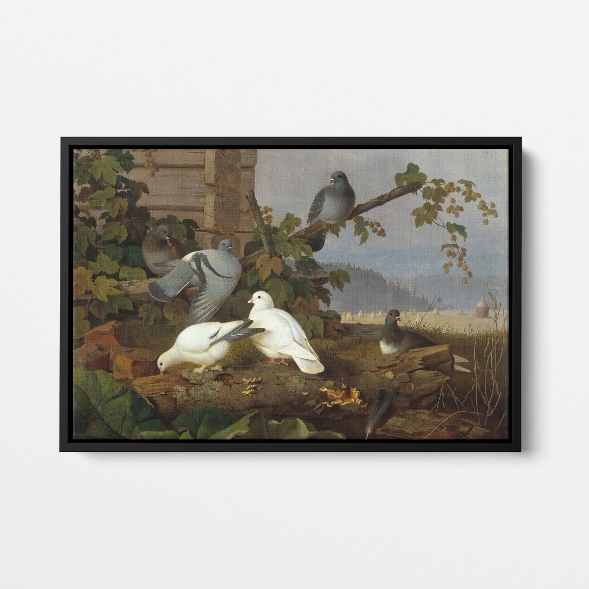 Pigeons | Ferdinand von Wright | Ave Legato Art Prints