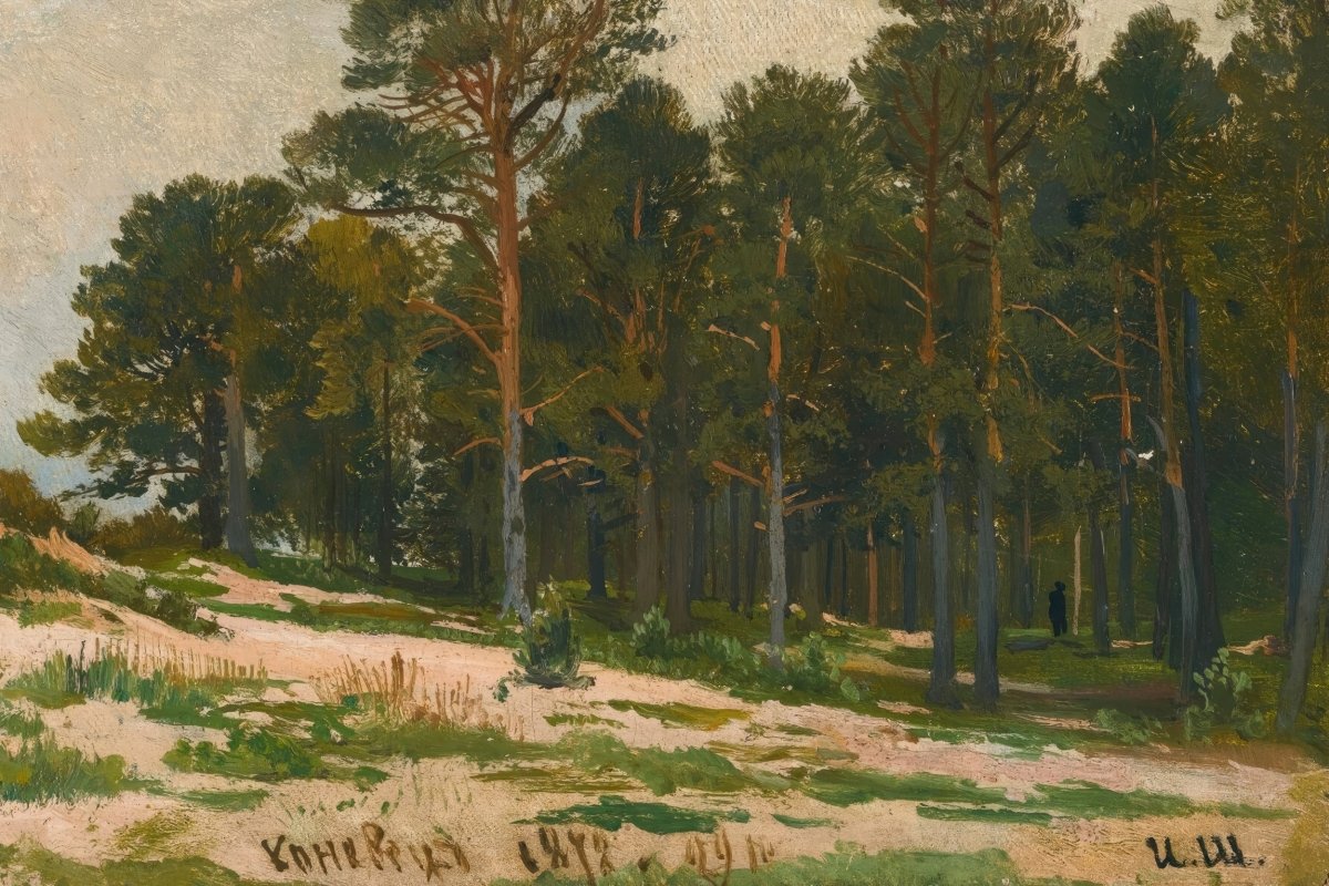 Pine Forest | Ivan Shishkin | Ave Legato Art Prints