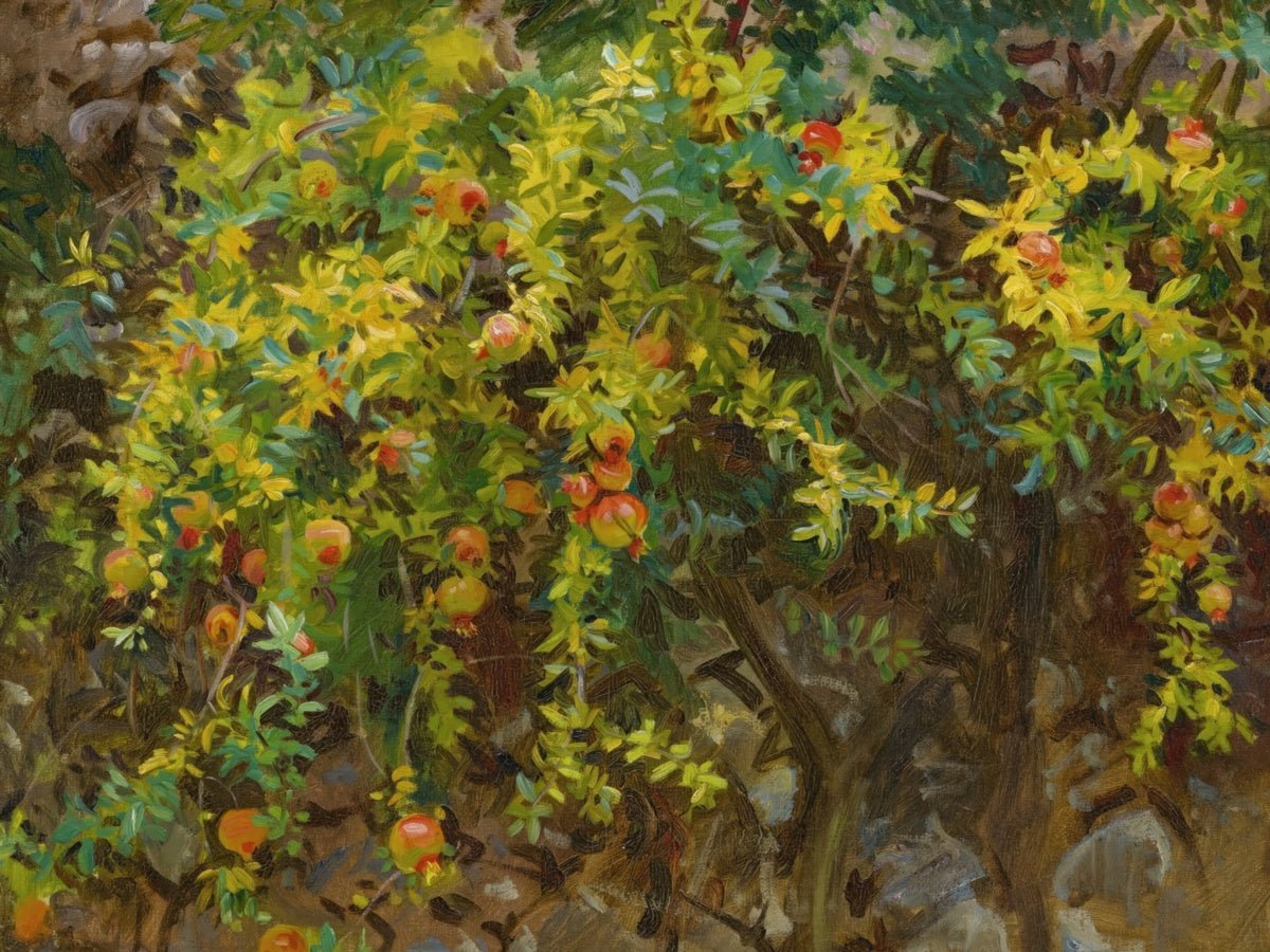 Pomegranates, Majorca | John Sargent | Ave Legato Art Prints