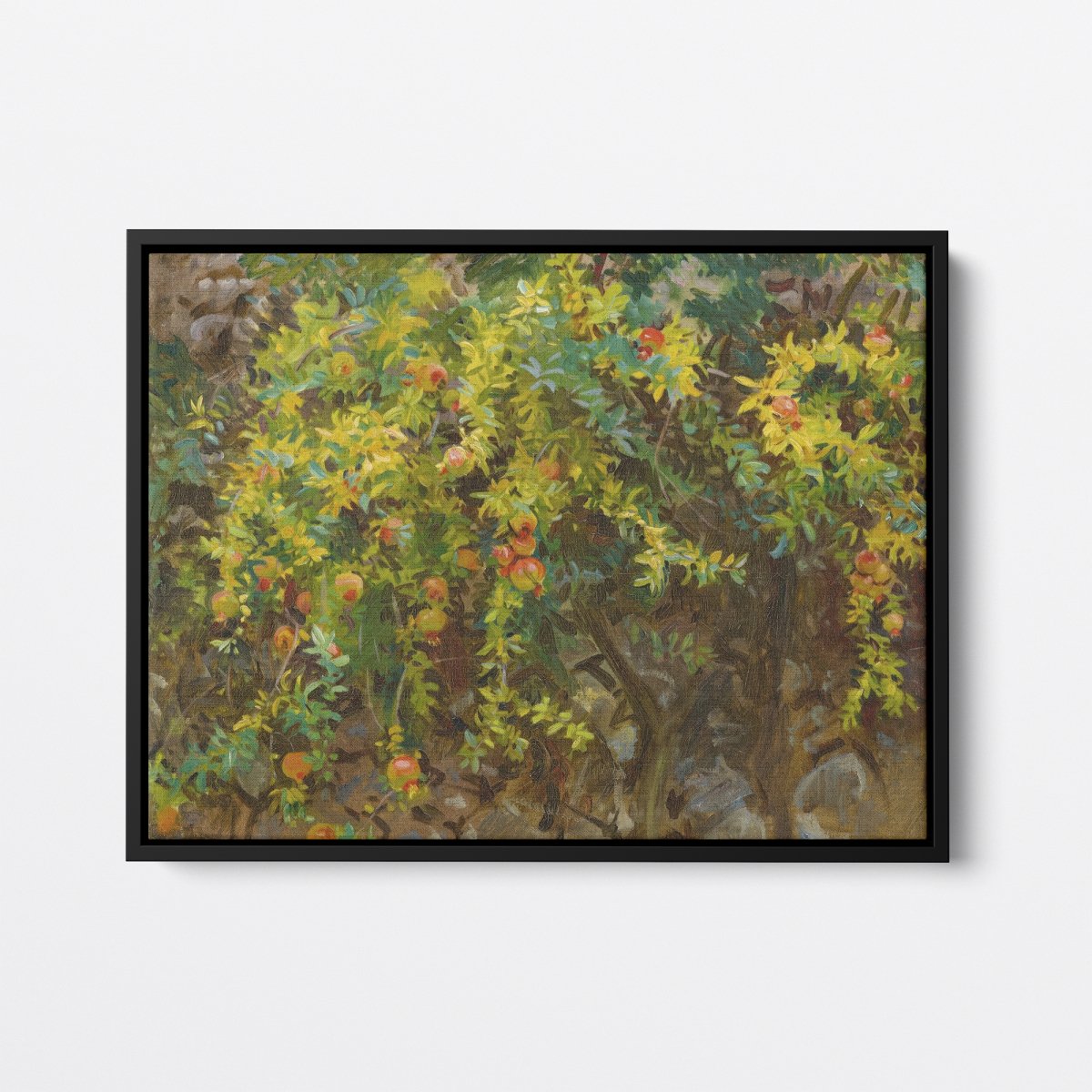 Pomegranates, Majorca | John Sargent | Ave Legato Art Prints