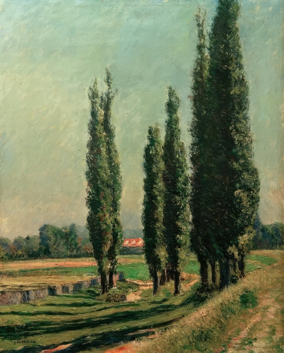 Poplars in the Field | Gustave Caillebotte | Ave Legato Art Prints