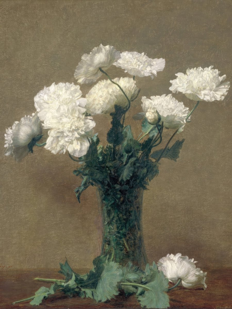 Poppies | Henri Fantin - Latour | Ave Legato Art Prints