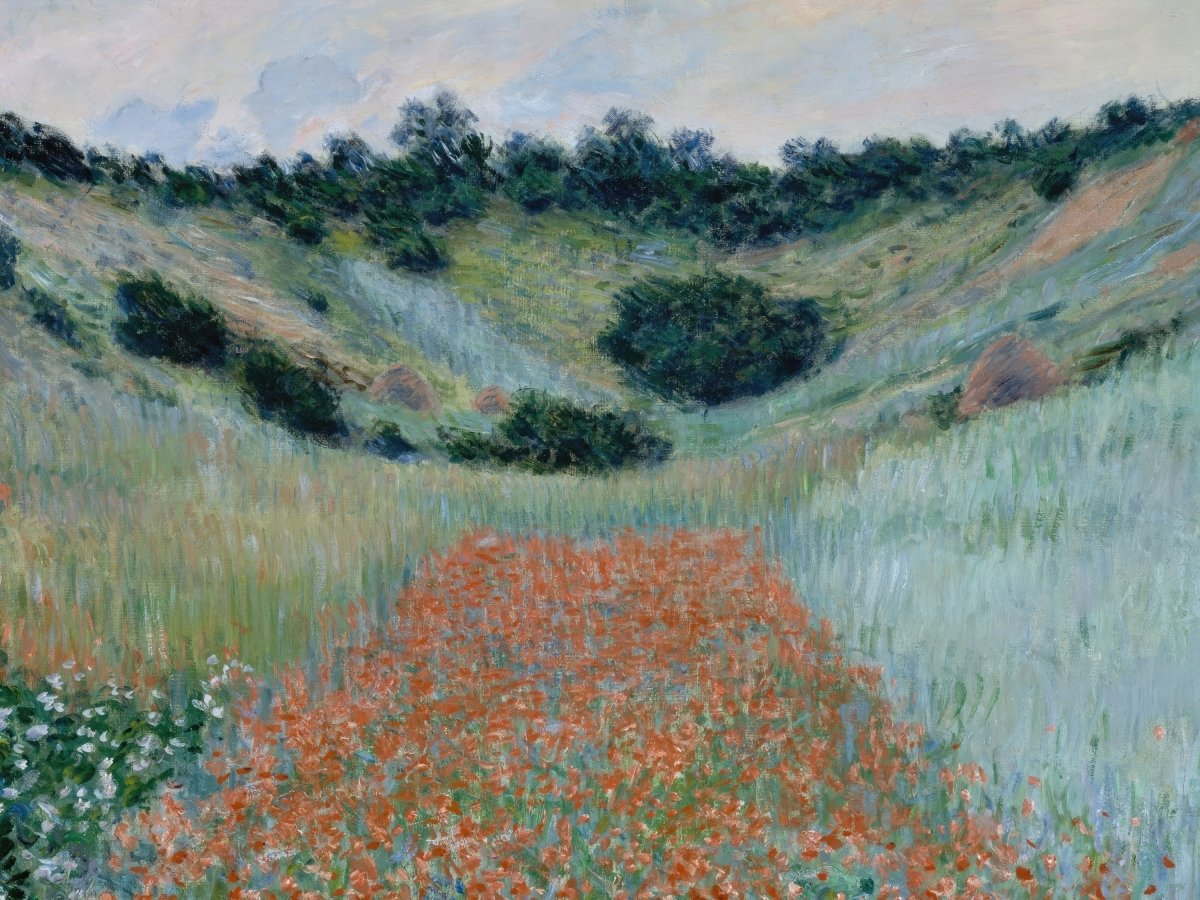 Poppy Field in a Hollow near Giverny | Claude Monet | Ave Legato Art Prints