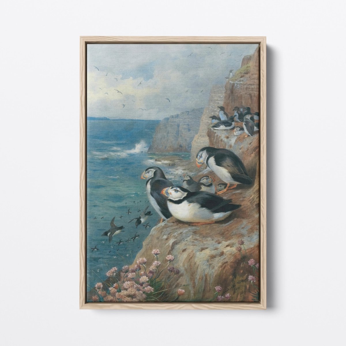 Puffin | Archibald Thorburn | Ave Legato Art Prints