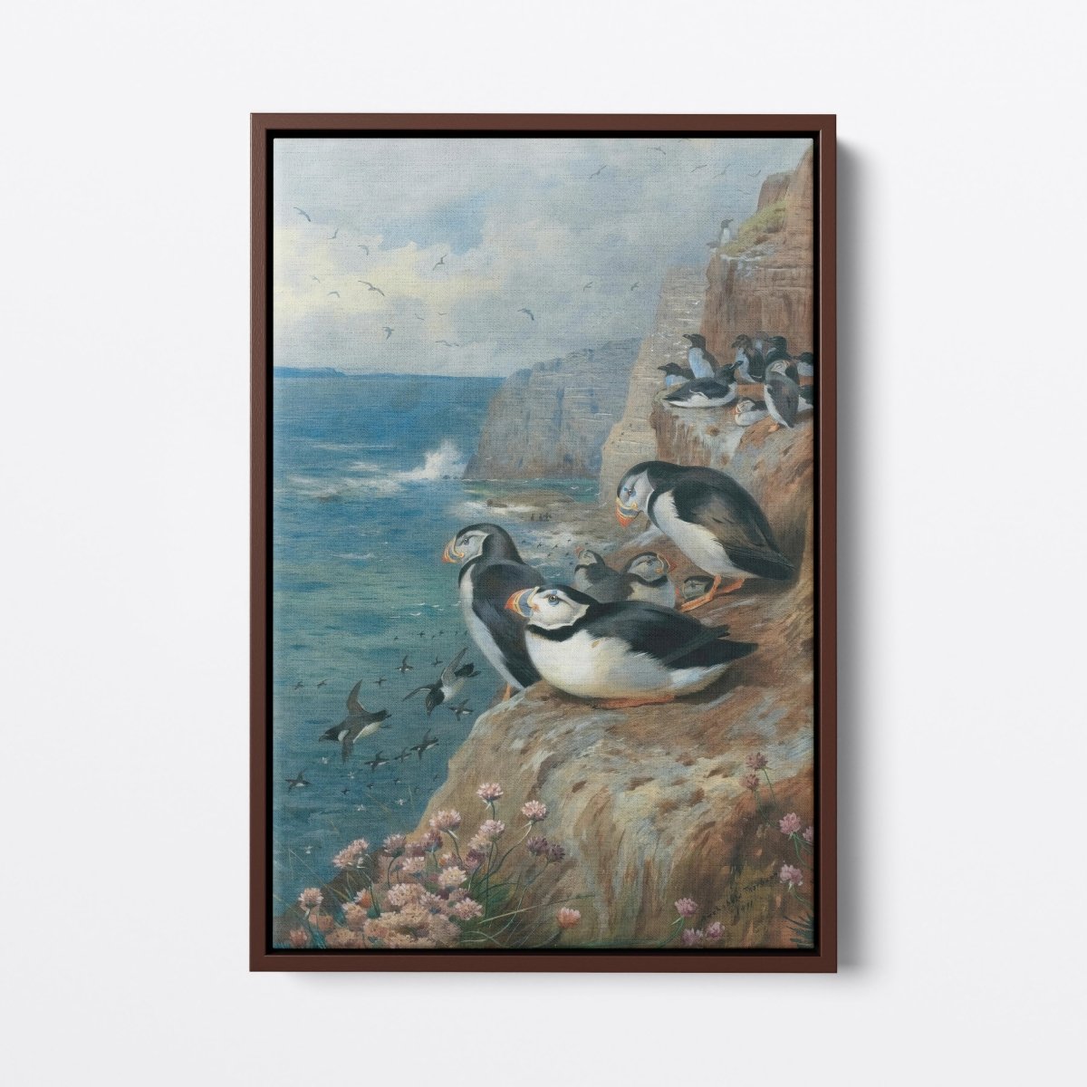 Puffin | Archibald Thorburn | Ave Legato Art Prints