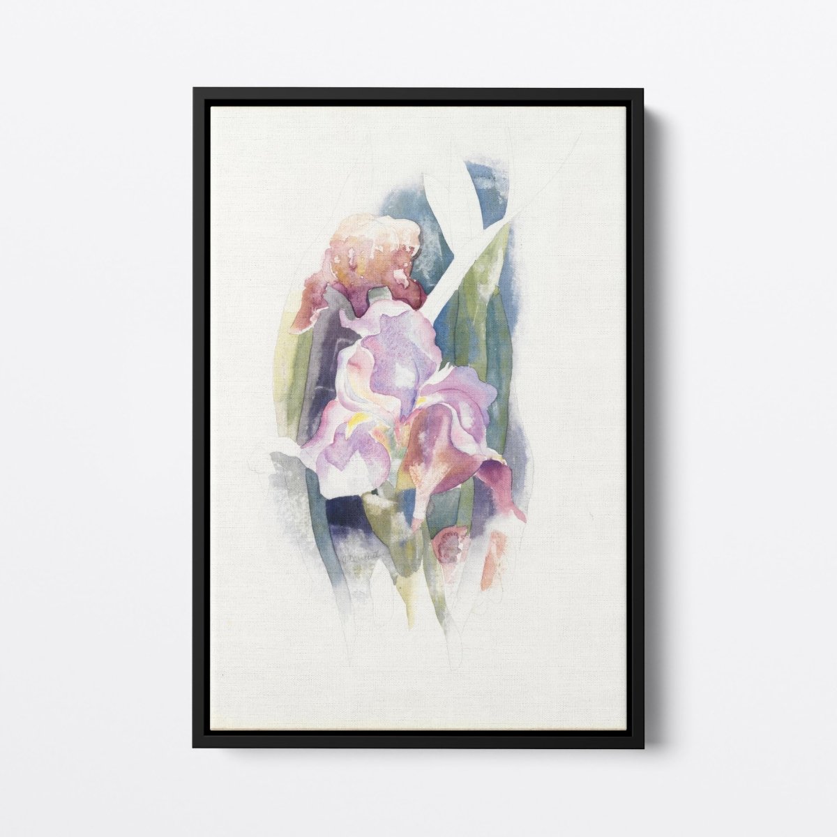 Purple Iris | Charles Demuth | Ave Legato Art Prints