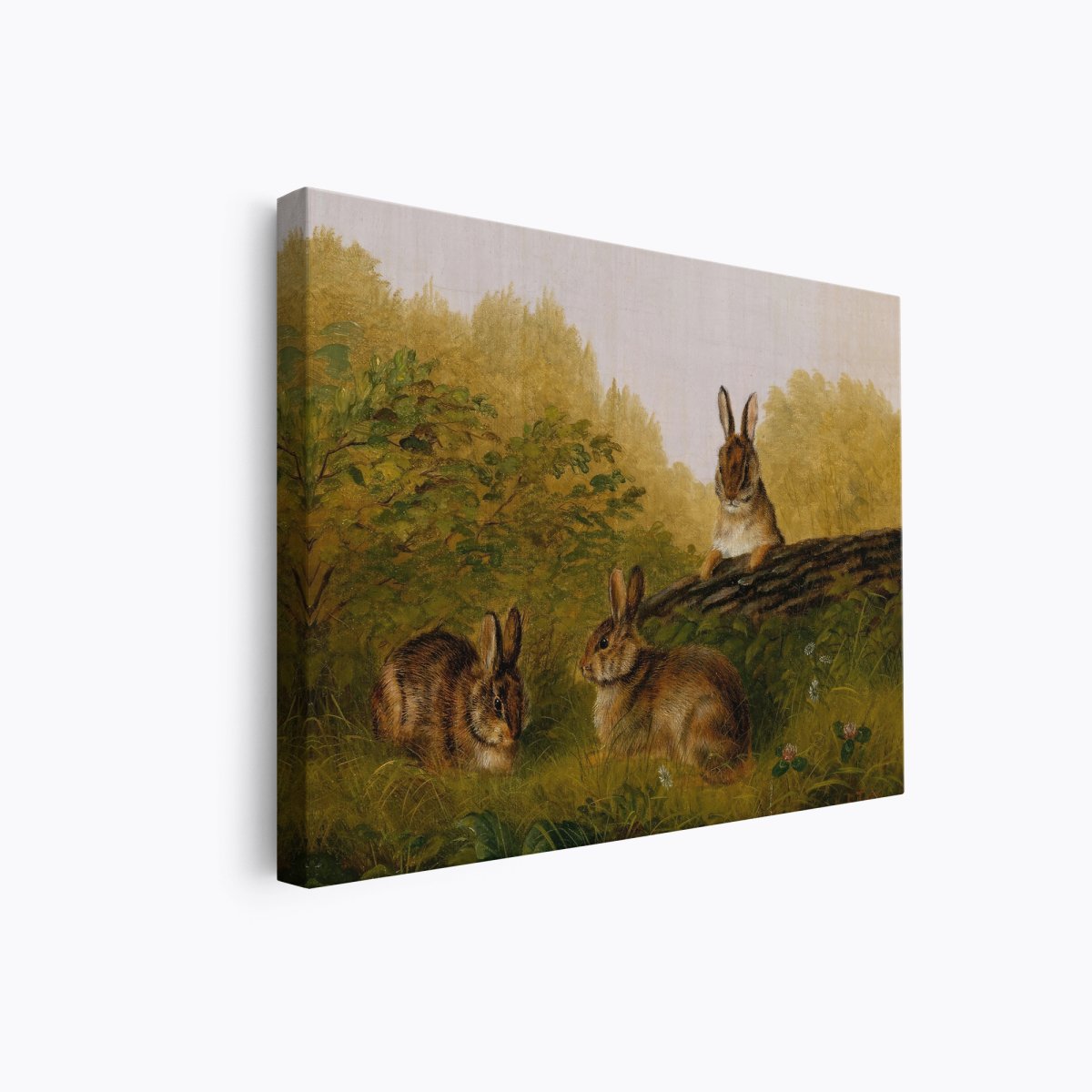 Rabbits on a Log | Arthur Tait | Ave Legato Art Prints