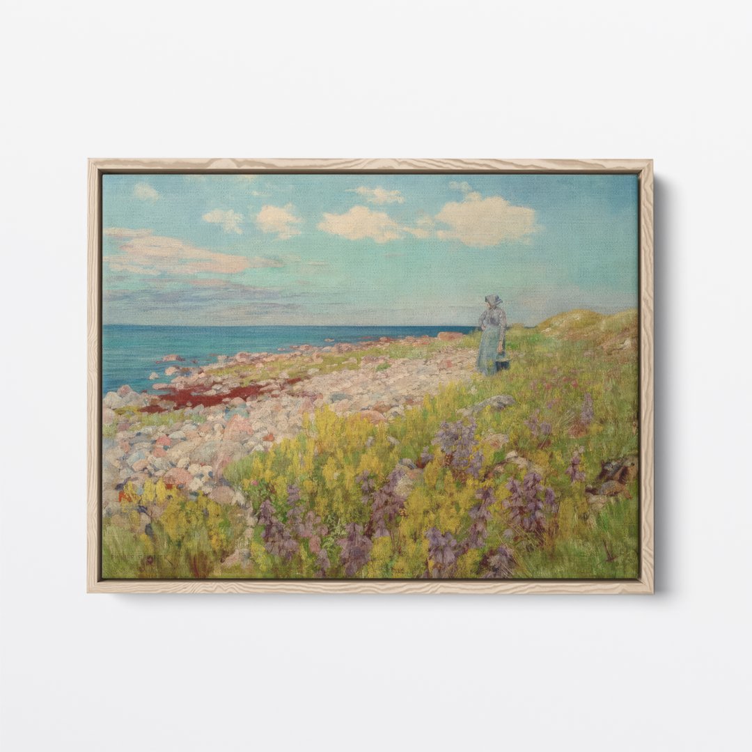 Red Algae on the Beach | Philipp Franck | Ave Legato | Canvas Art Prints | Vintage Artwork