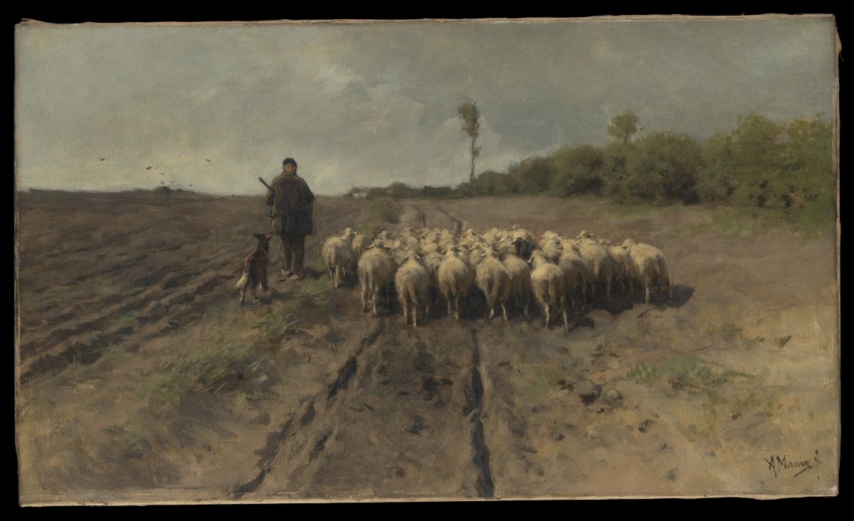 Return to the Fold | Anton Mauve | Ave Legato Art Prints