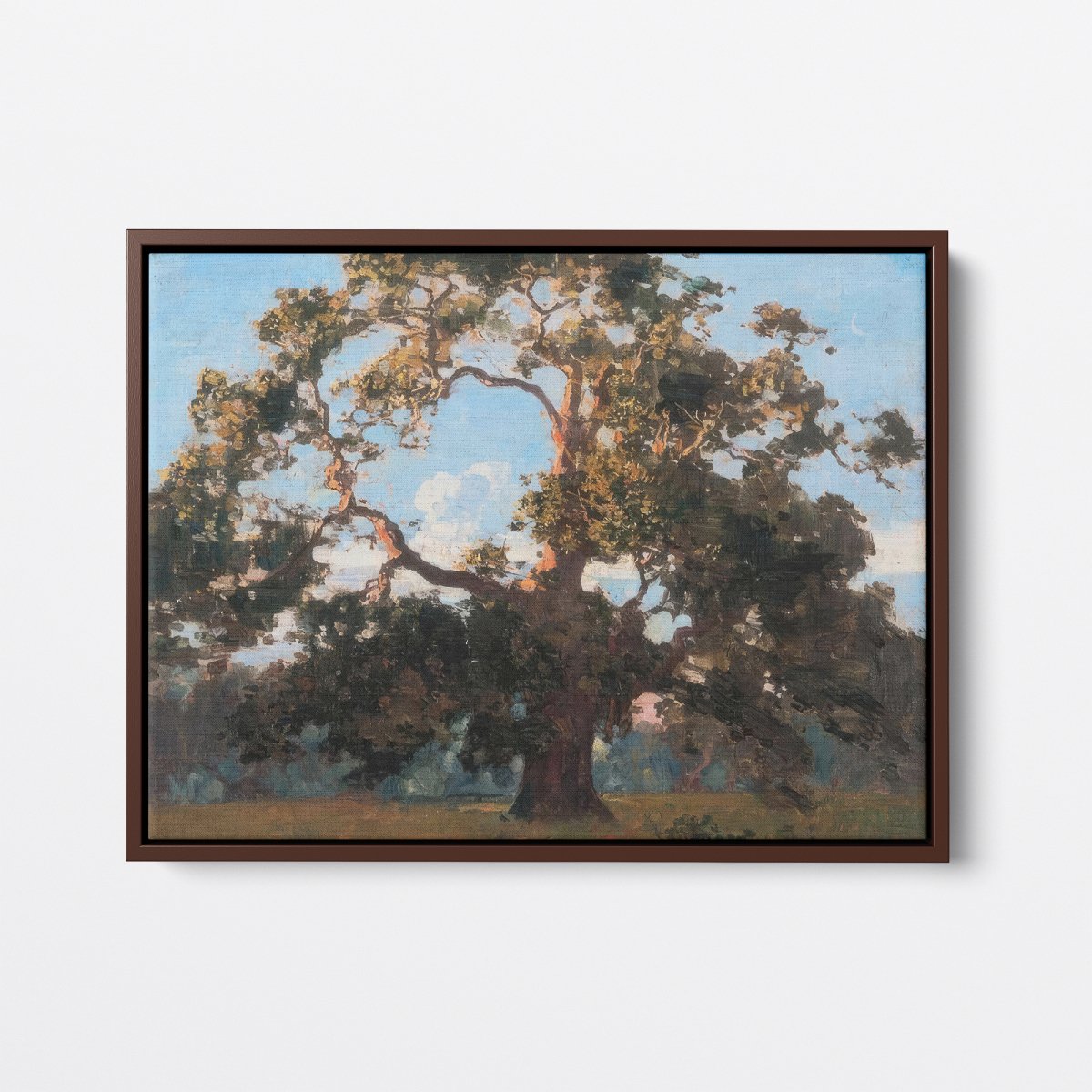 Sheoak | Arthur Streeton | Ave Legato Art Prints