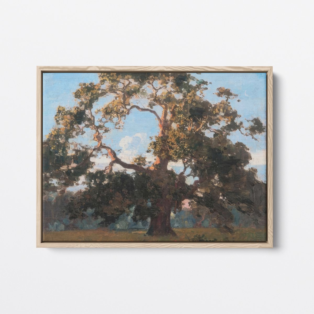 Sheoak | Arthur Streeton | Ave Legato Art Prints