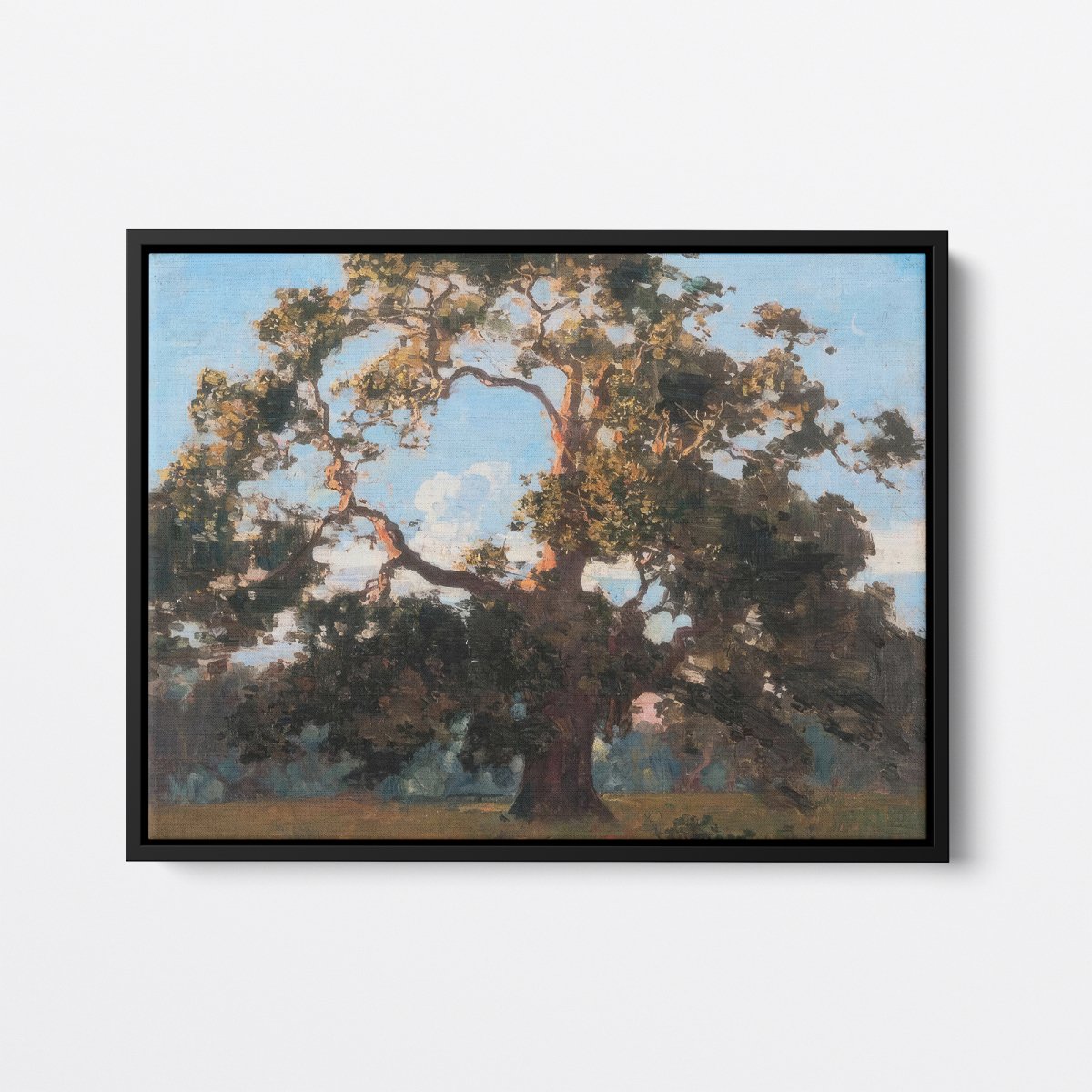 Sheoak | Arthur Streeton | Ave Legato Art Prints