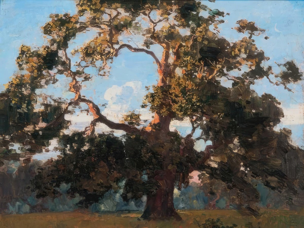 Sheoak | Arthur Streeton | Ave Legato Art Prints