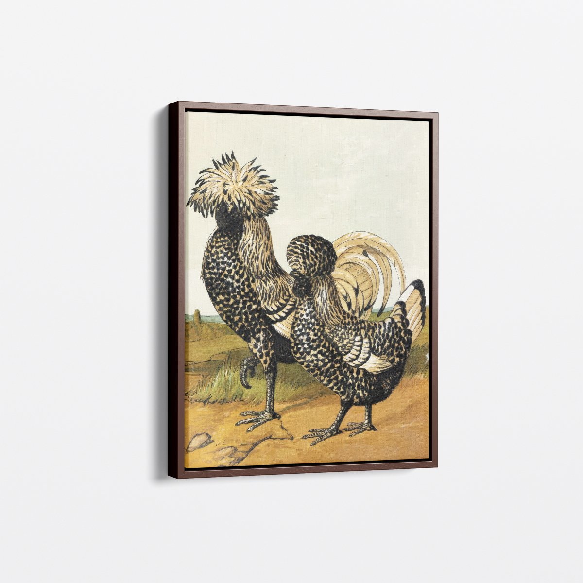 Silver Polish Chicken | Harrison Weir | Ave Legato Art Prints