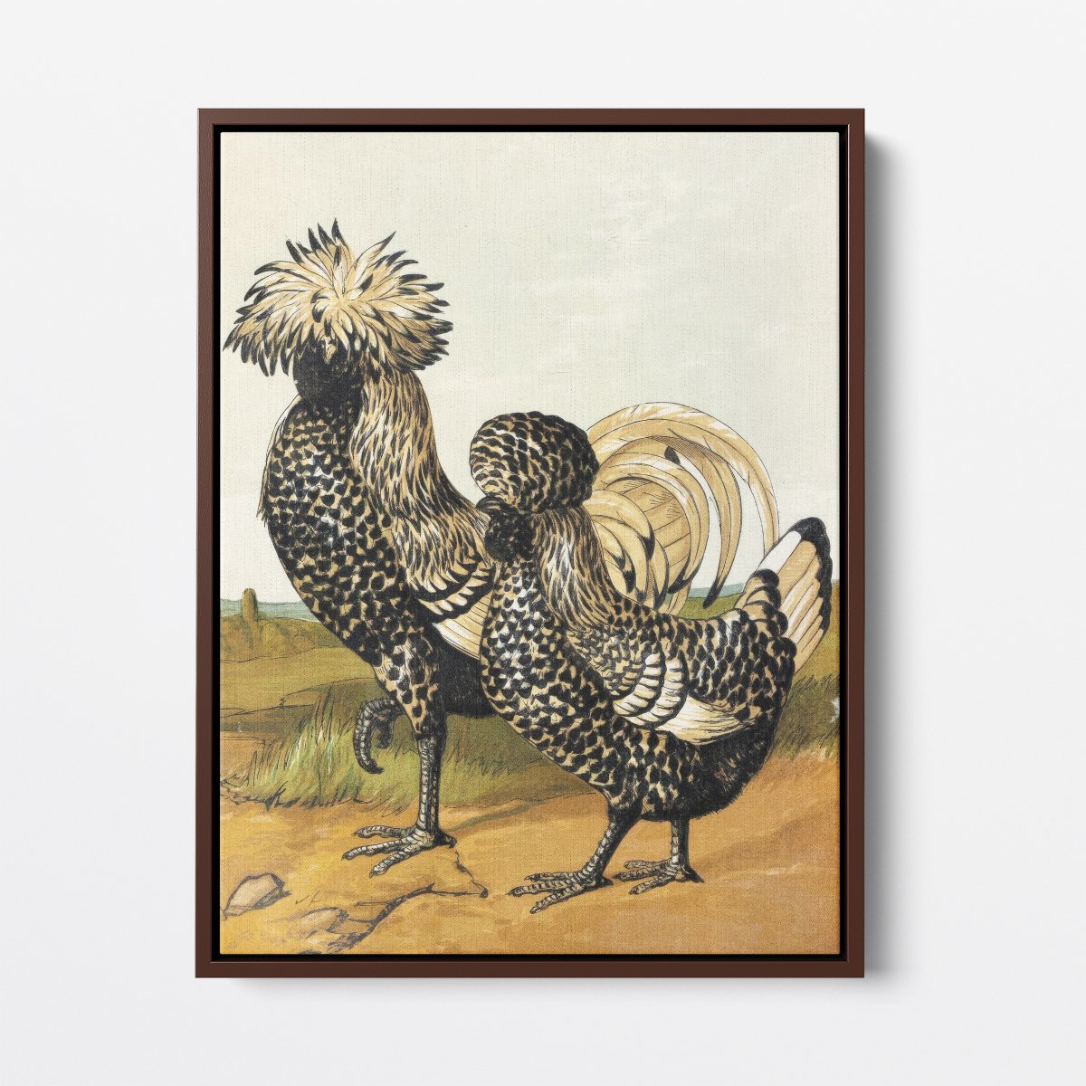 Silver Polish Chicken | Harrison Weir | Ave Legato Art Prints