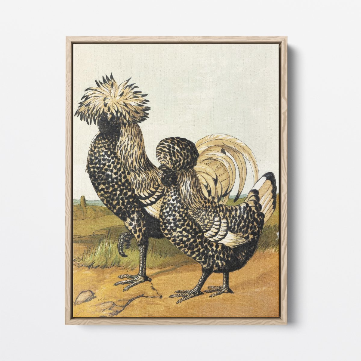 Silver Polish Chicken | Harrison Weir | Ave Legato Art Prints