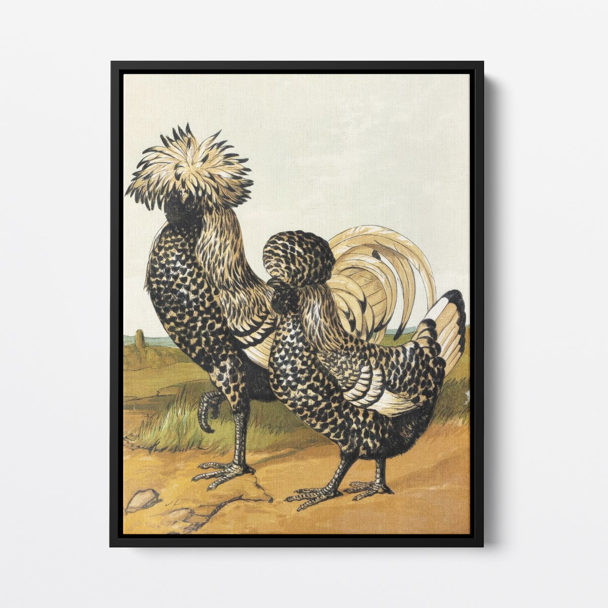 Silver Polish Chicken | Harrison Weir | Ave Legato Art Prints