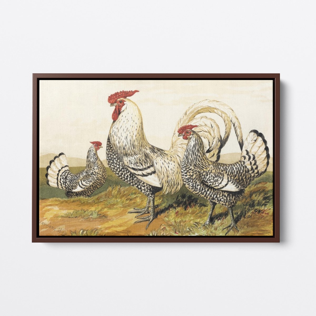 Silver Spangled Hamburgh Chickens | Archibald Thorburn | Ave Legato Art Prints