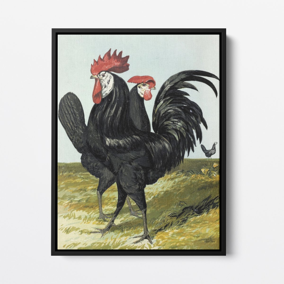 Spanish Rooster and Hen | Harrison Weir | Ave Legato Art Prints