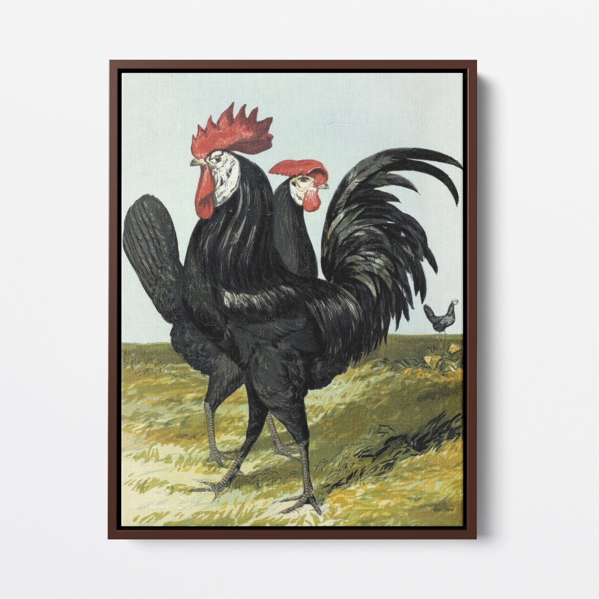 Spanish Rooster and Hen | Harrison Weir | Ave Legato Art Prints