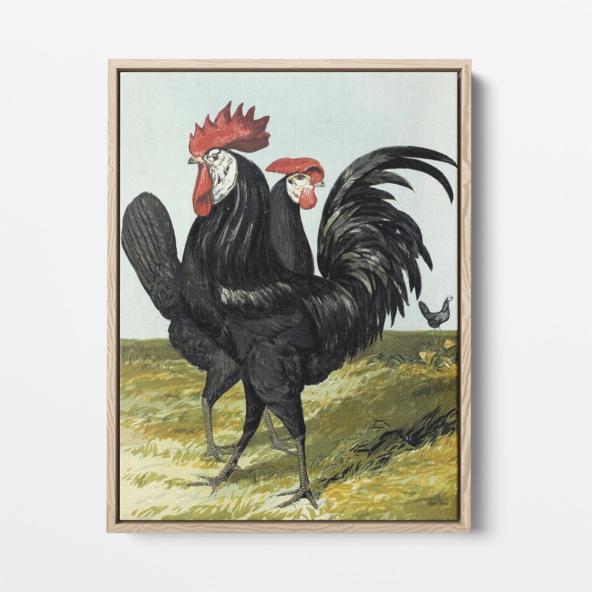 Spanish Rooster and Hen | Harrison Weir | Ave Legato Art Prints