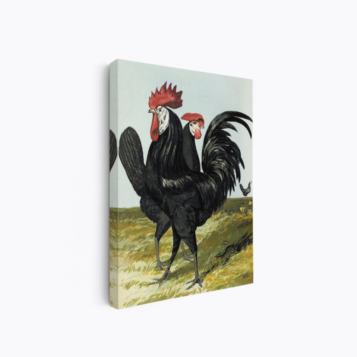 Spanish Rooster and Hen | Harrison Weir | Ave Legato Art Prints