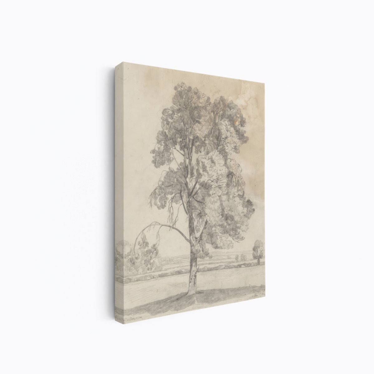 Study of a Tree (Cotman) | John Cotman | Ave Legato Art Prints