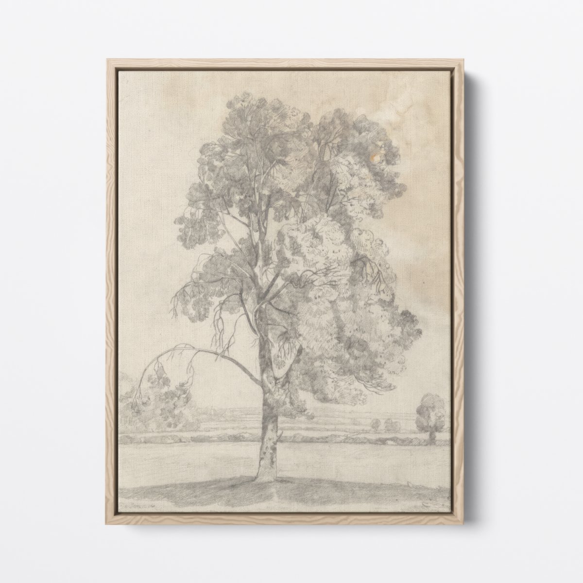 Study of a Tree (Cotman) | John Cotman | Ave Legato Art Prints