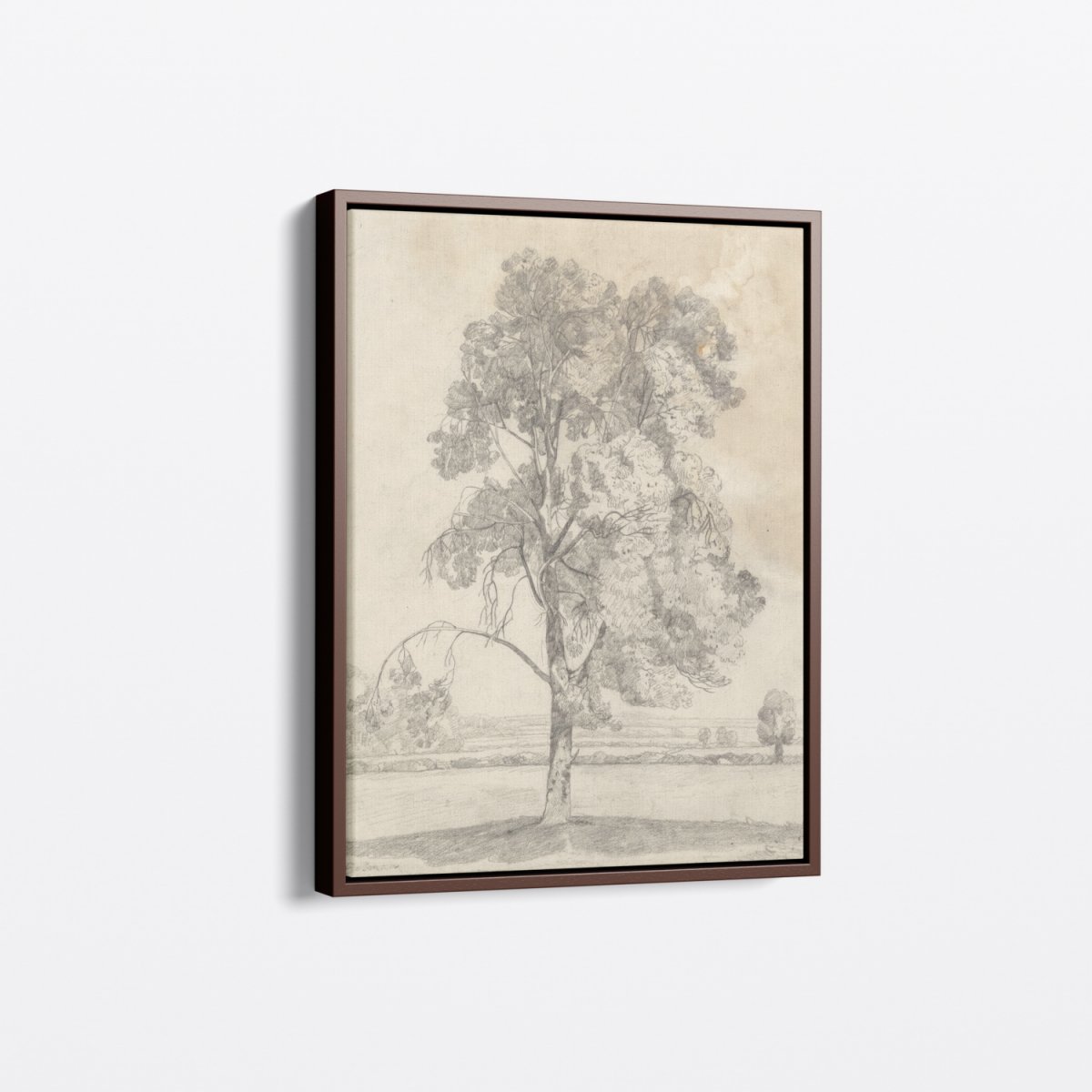 Study of a Tree (Cotman) | John Cotman | Ave Legato Art Prints