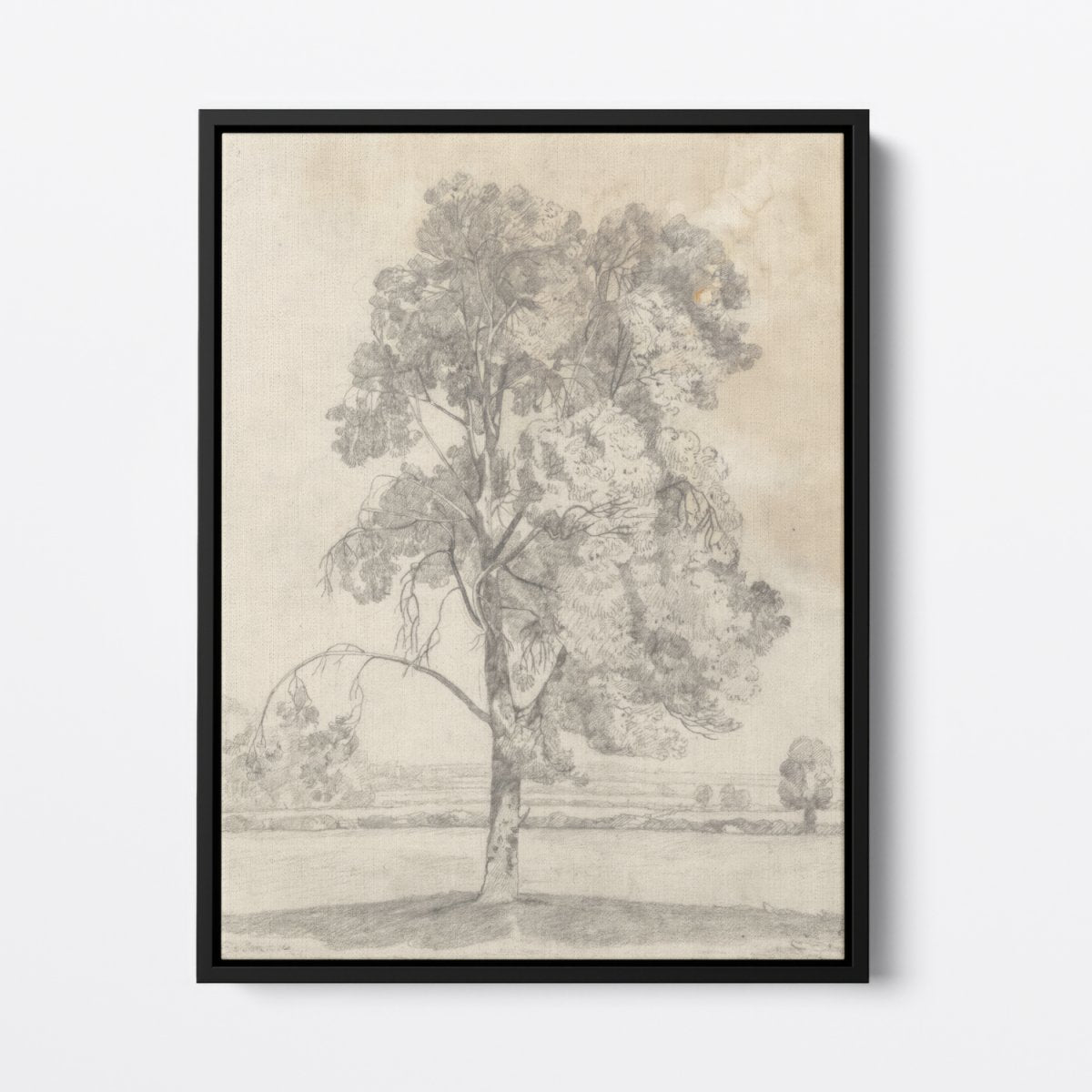 Study of a Tree (Cotman) | John Cotman | Ave Legato Art Prints