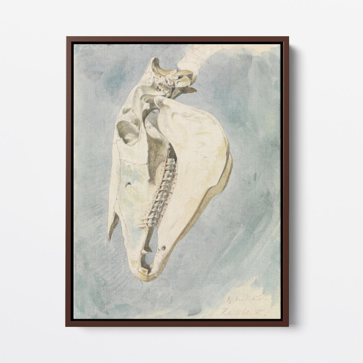 Study of an Animal Skull | Ferdinand Keller | Ave Legato Art Prints