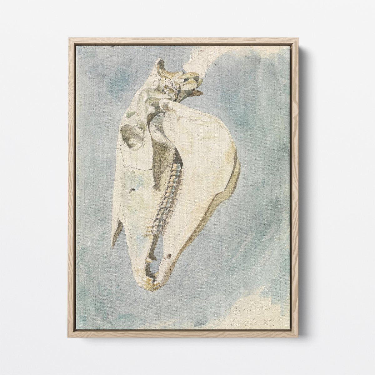 Study of an Animal Skull | Ferdinand Keller | Ave Legato Art Prints