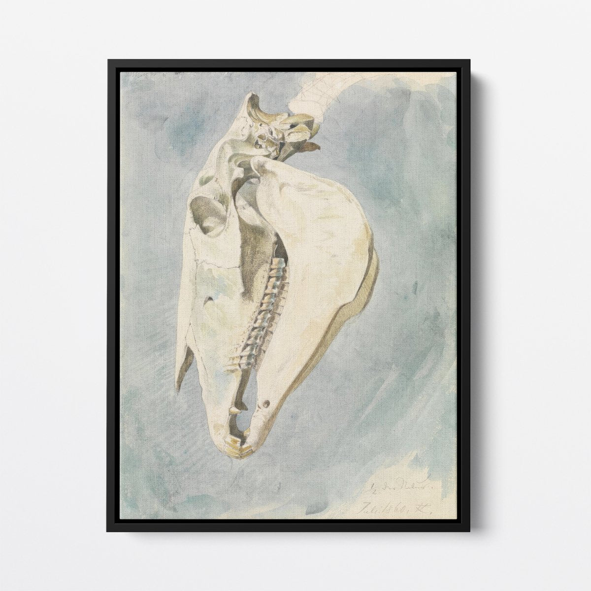 Study of an Animal Skull | Ferdinand Keller | Ave Legato Art Prints