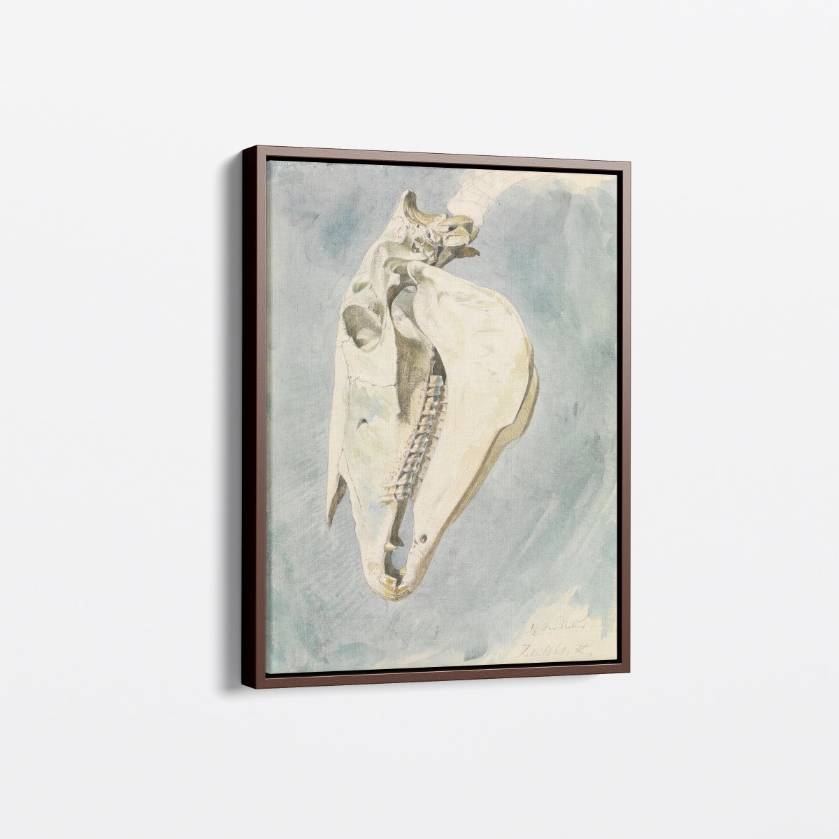 Study of an Animal Skull | Ferdinand Keller | Ave Legato Art Prints