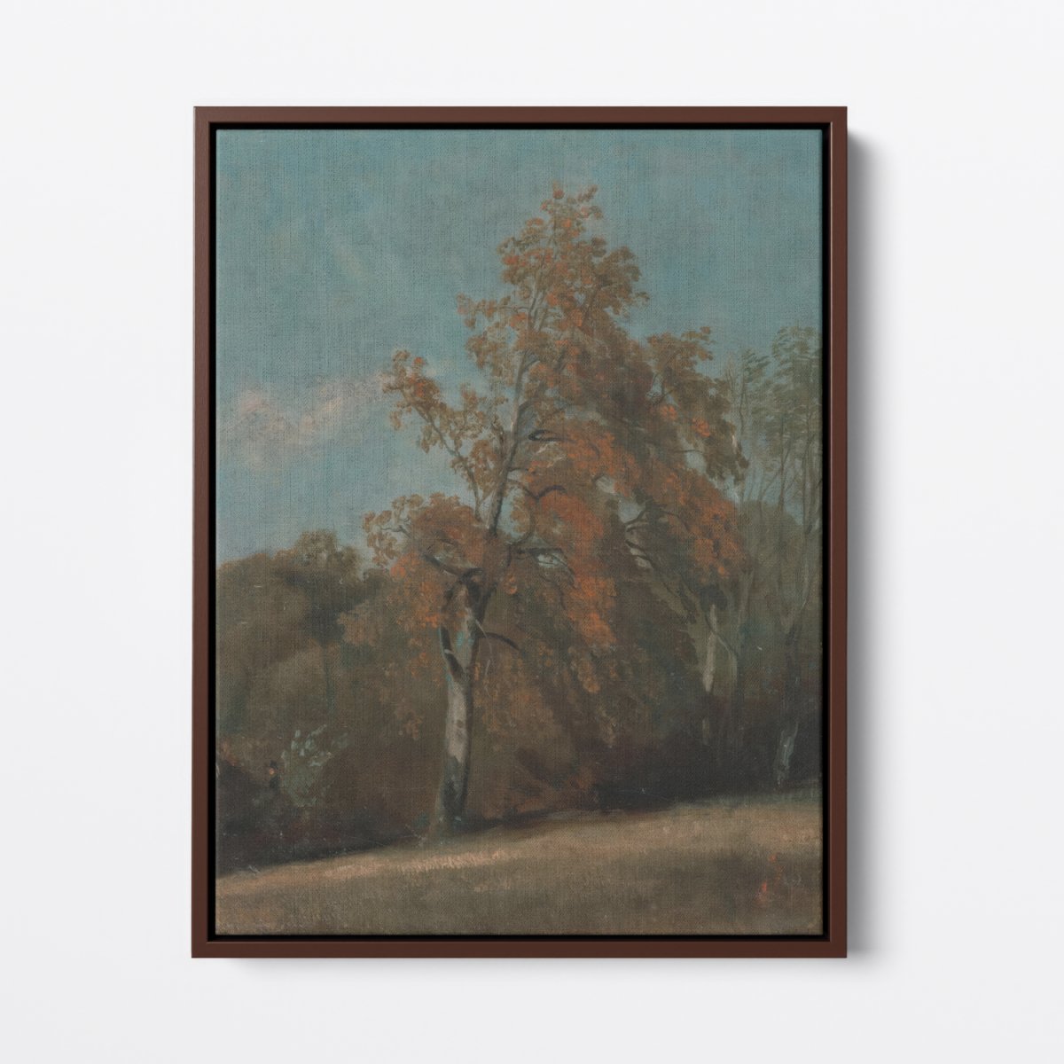 Study of an Ash Tree | John Constable | Ave Legato Art Prints